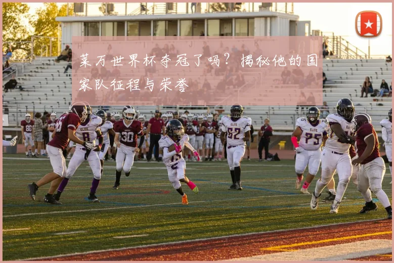 莱万世界杯夺冠了吗？揭秘他的国家队征程与荣誉