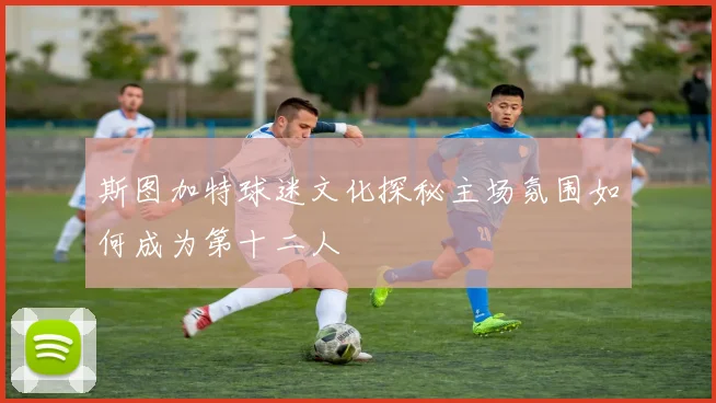 斯图加特球迷文化探秘主场氛围如何成为第十二人