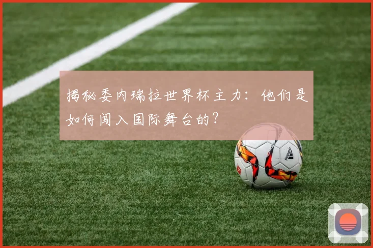 揭秘委内瑞拉世界杯主力：他们是如何闯入国际舞台的？