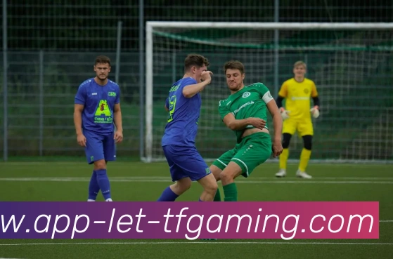 雷火电竞APP服务体系